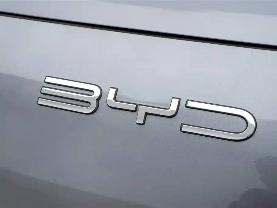 BYD PLUS New Energy — фото 9