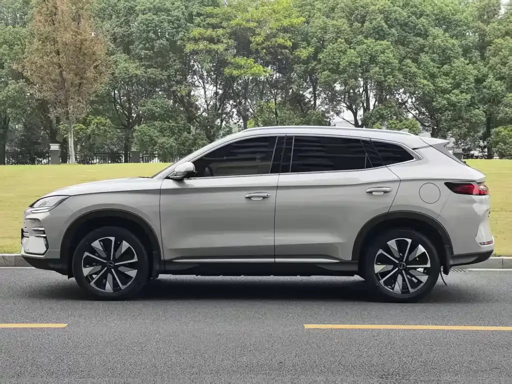 BYD PLUS New Energy — фото 7