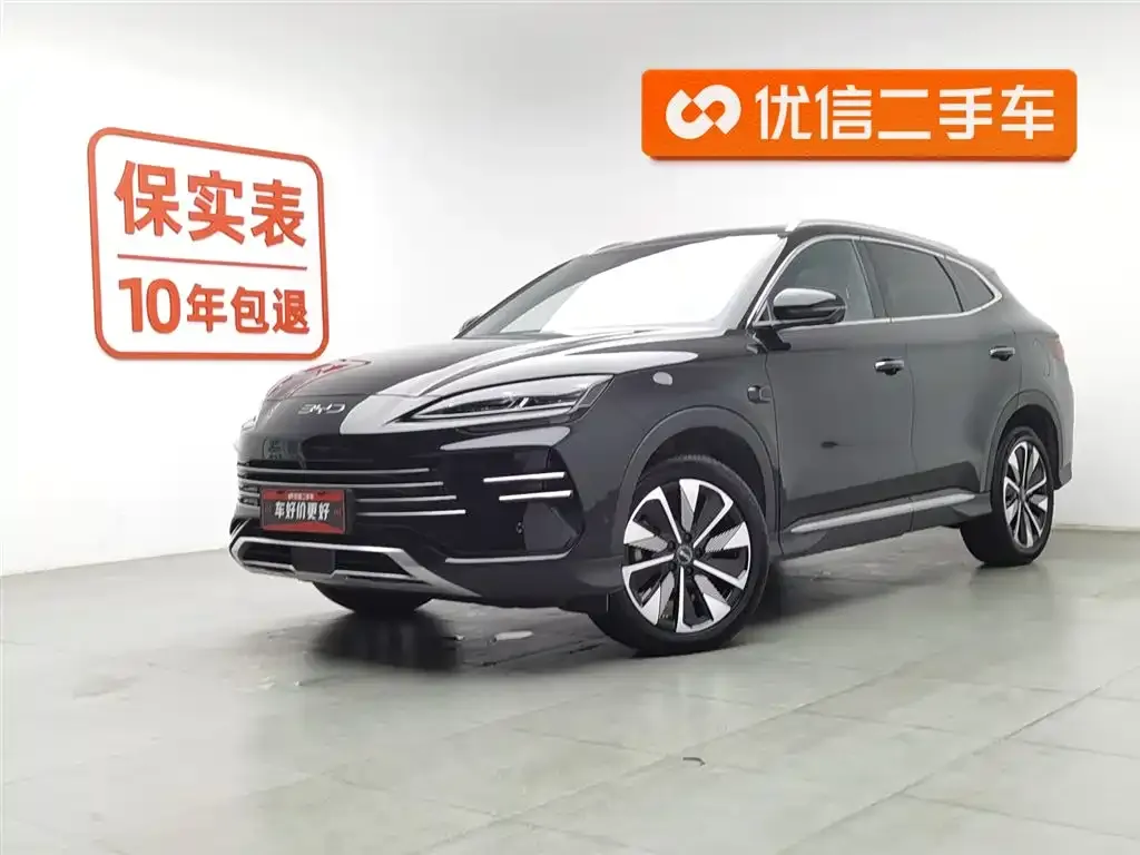 BYD PLUS New Energy — фото 1