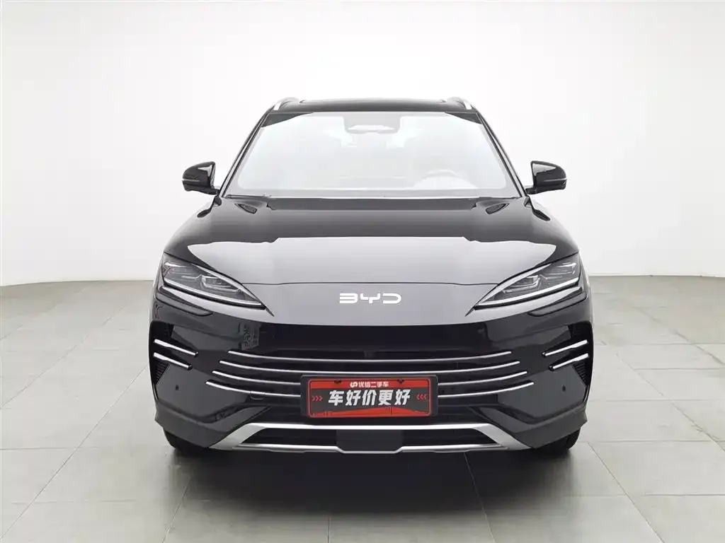 BYD PLUS New Energy — фото 3