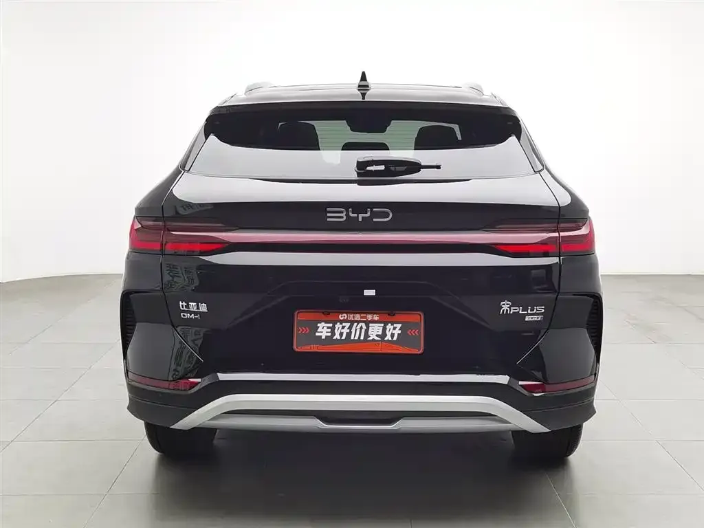 BYD PLUS New Energy — фото 4