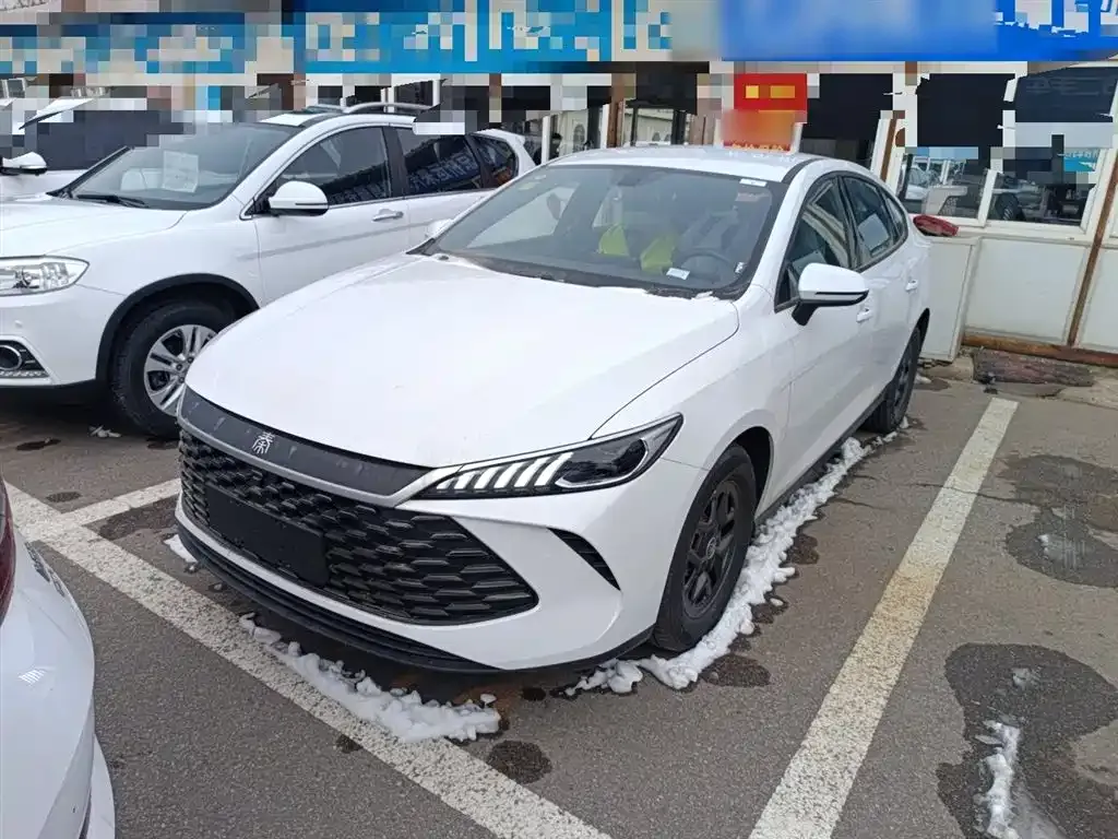 BYD Qin PLUS — фото 1