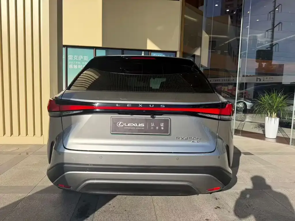 Lexus RX New Energy — фото 10