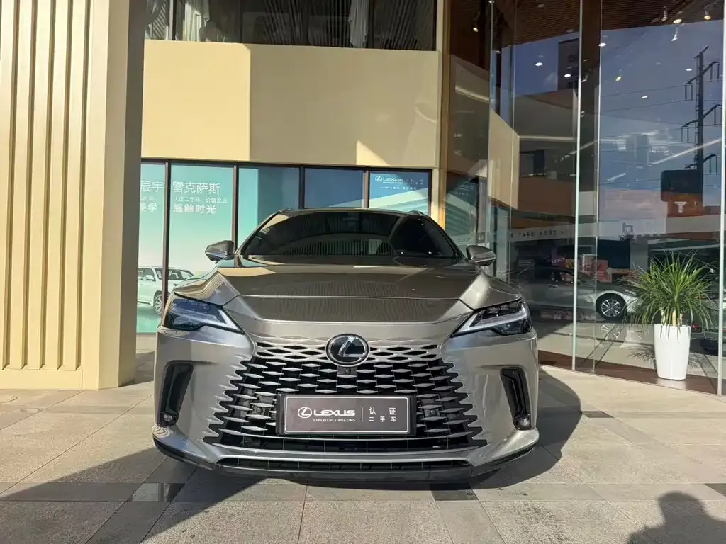 Lexus RX New Energy — фото 2