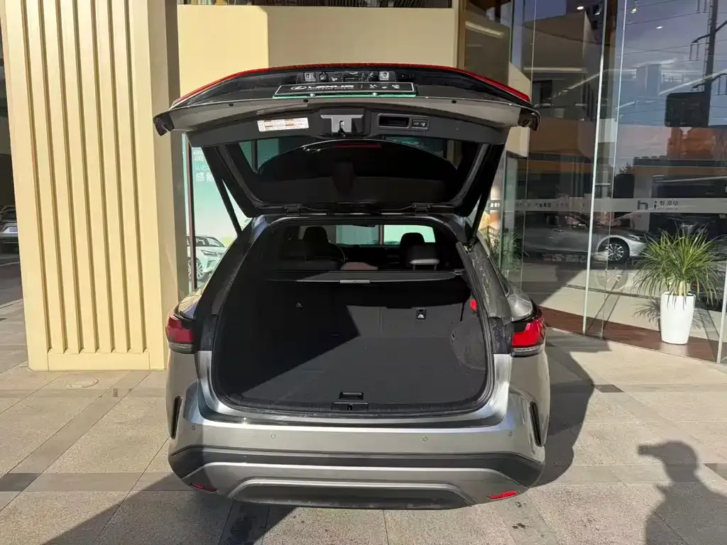 Lexus RX New Energy — фото 9