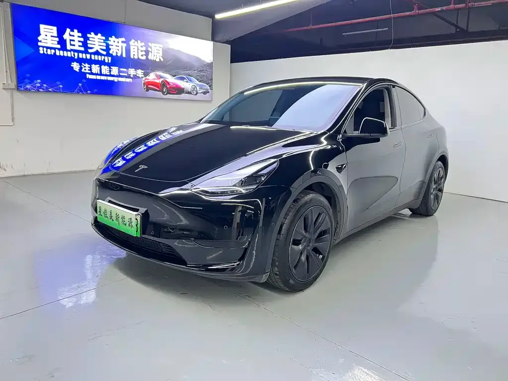 Tesla Model Y — фото 1