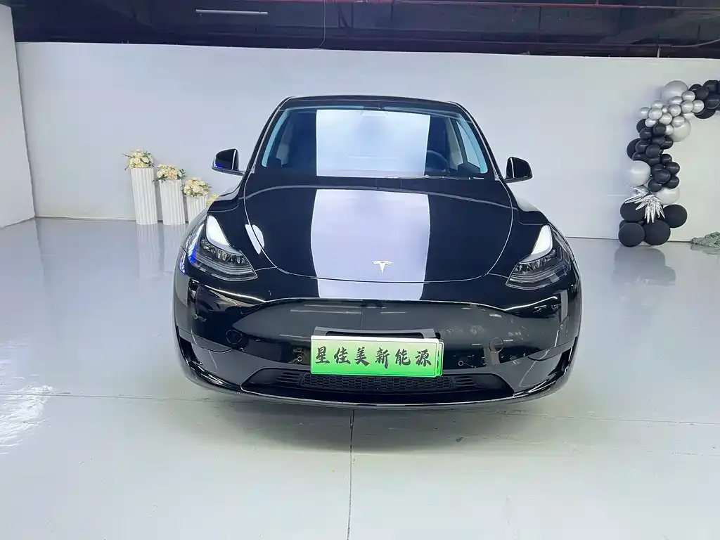 Tesla Model Y — фото 2