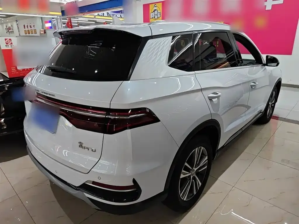 BYD Pro — фото 5