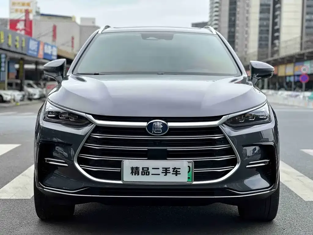 BYD Tang New Energy — фото 2