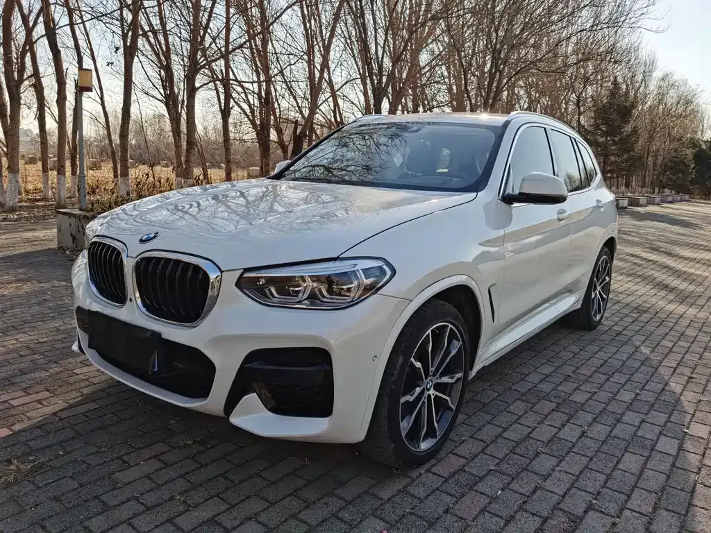 BMW X3 — фото 1