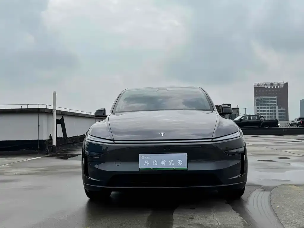 Tesla Model Y — фото 2
