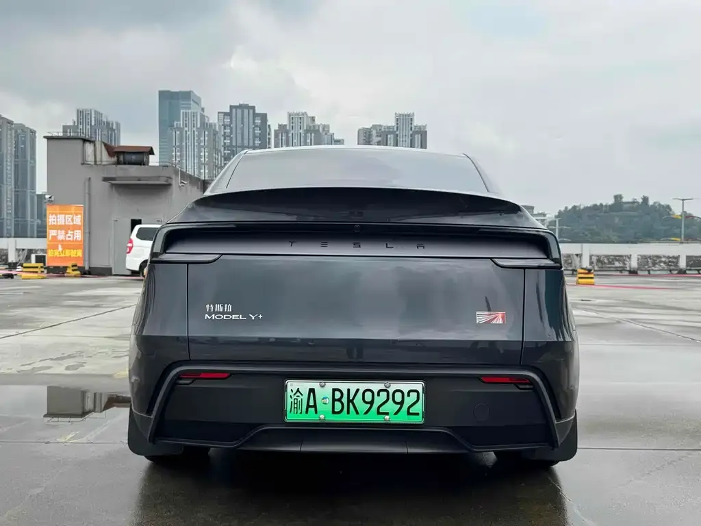 Tesla Model Y — фото 5