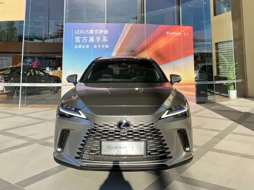 Lexus RX New Energy — фото 2
