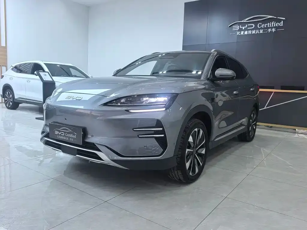 BYD PLUS New Energy — фото 1