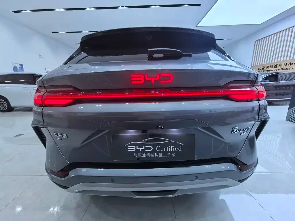 BYD PLUS New Energy — фото 5