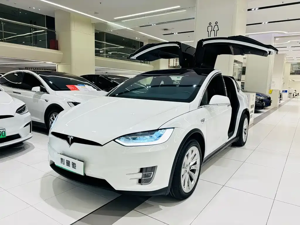 Tesla Model X — фото 1