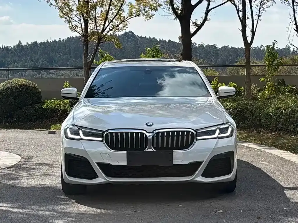 BMW 5 Series — фото 2