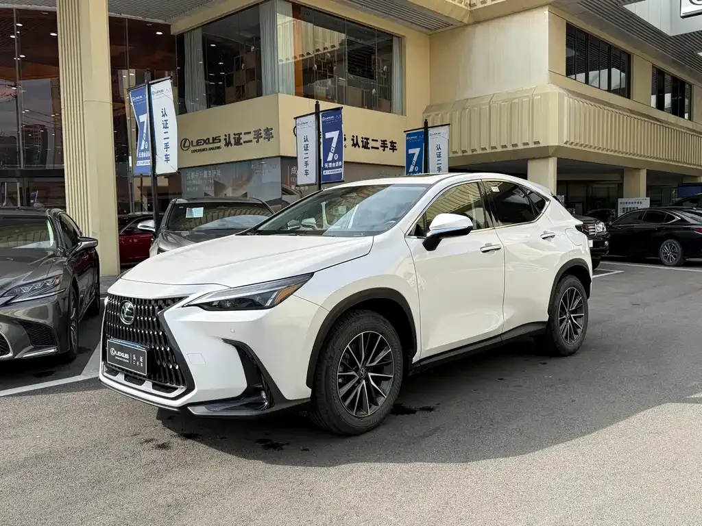 Lexus NX — фото 1