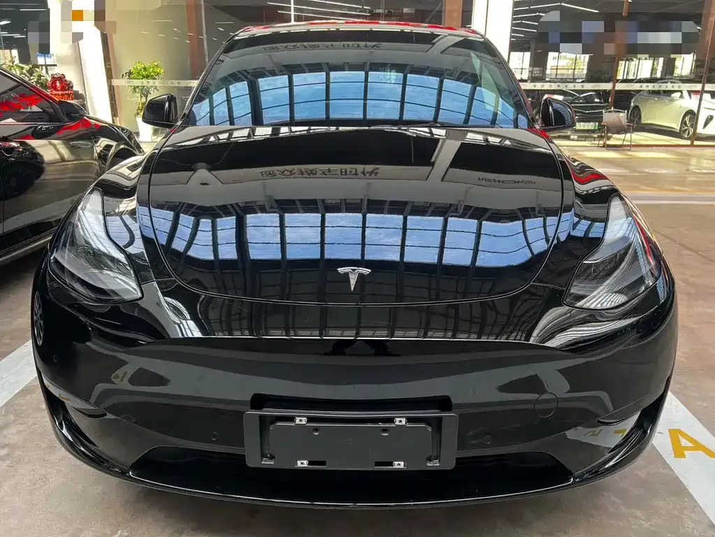Tesla Model Y — фото 3