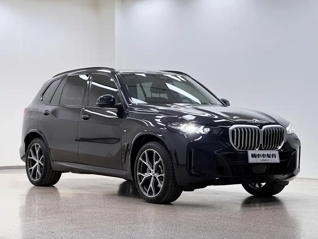 BMW X5 — фото 3