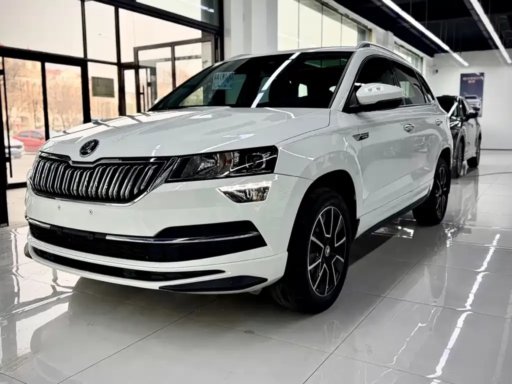 Skoda Karoq — фото 1