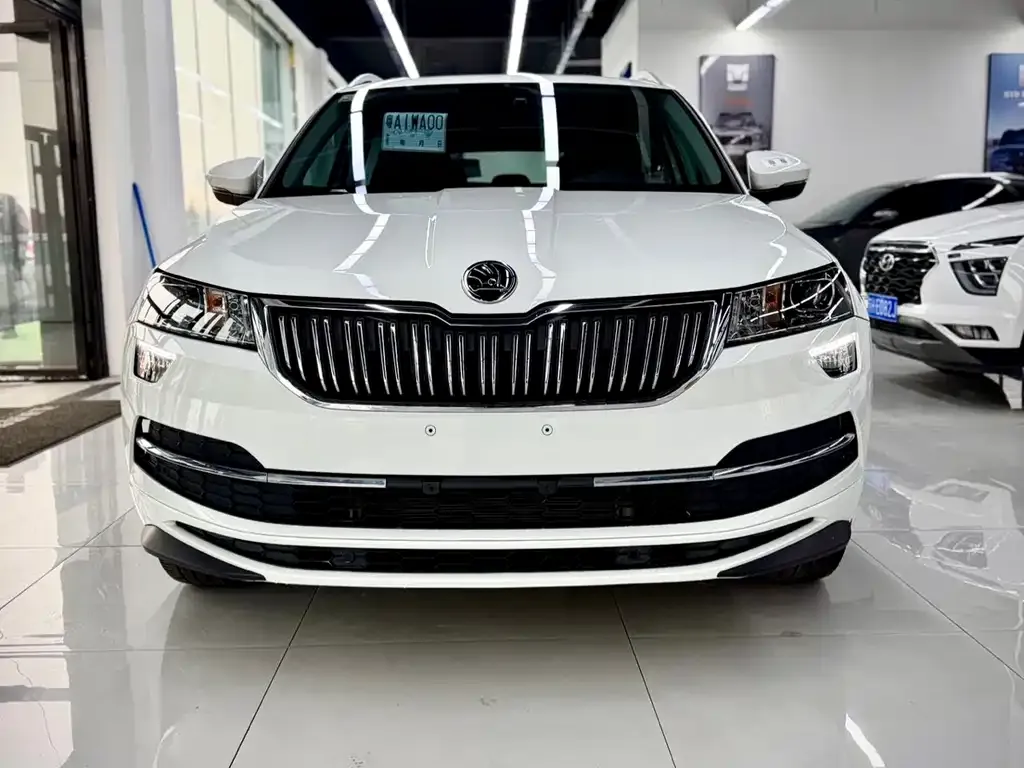 Skoda Karoq — фото 2