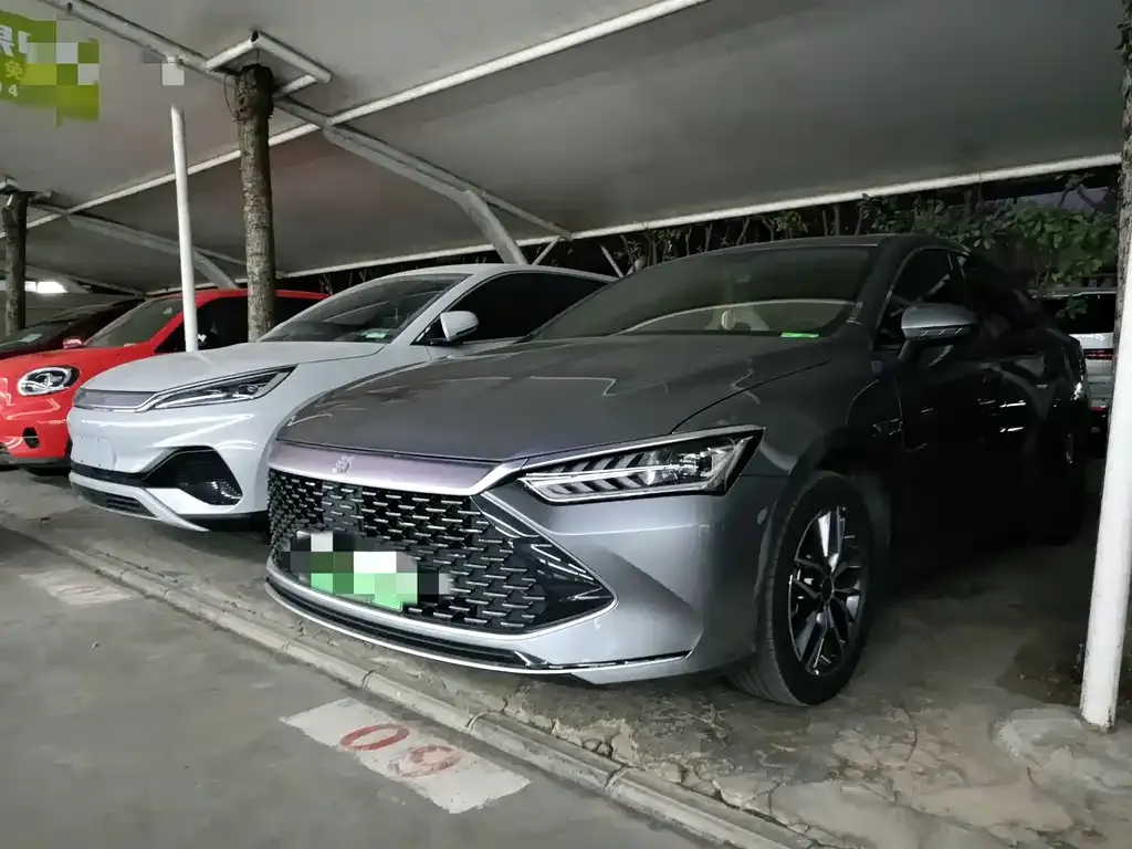 BYD Qin PLUS — фото 1