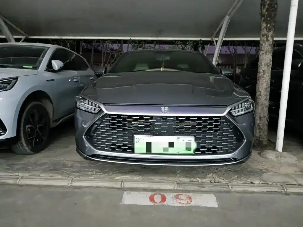 BYD Qin PLUS — фото 2