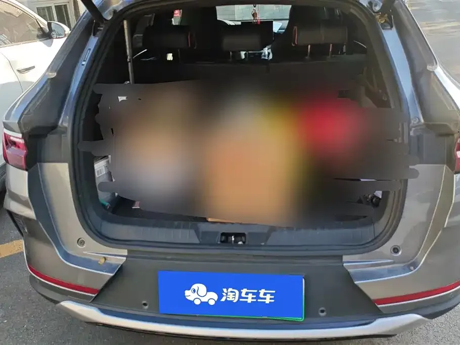 BYD PLUS New Energy — фото 4