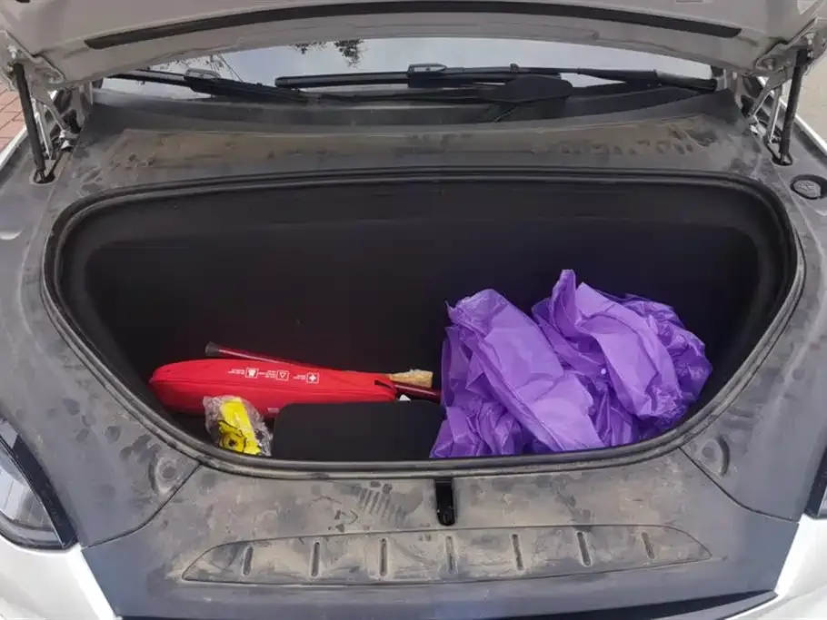 Tesla Model X — фото 10
