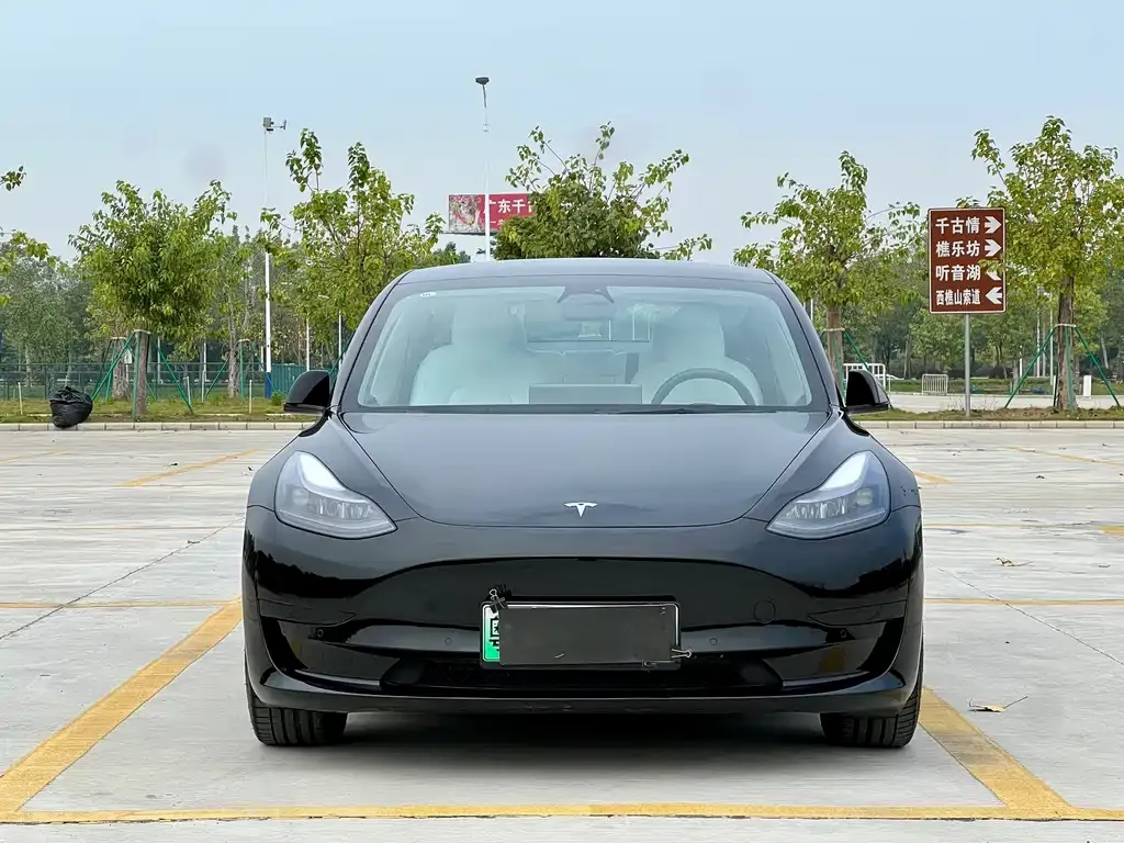 Tesla Model 3 — фото 2