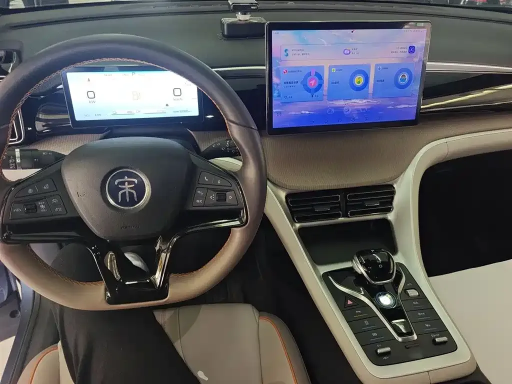 BYD Pro New Energy — фото 10
