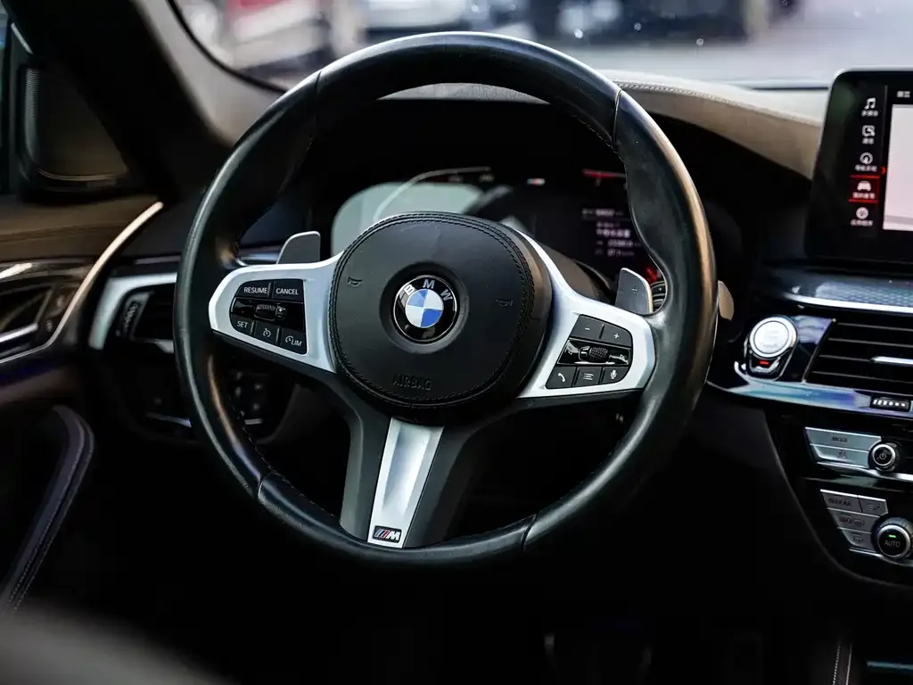 BMW 5 Series (Import) — фото 10