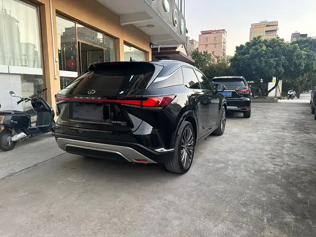 Lexus RX — фото 10