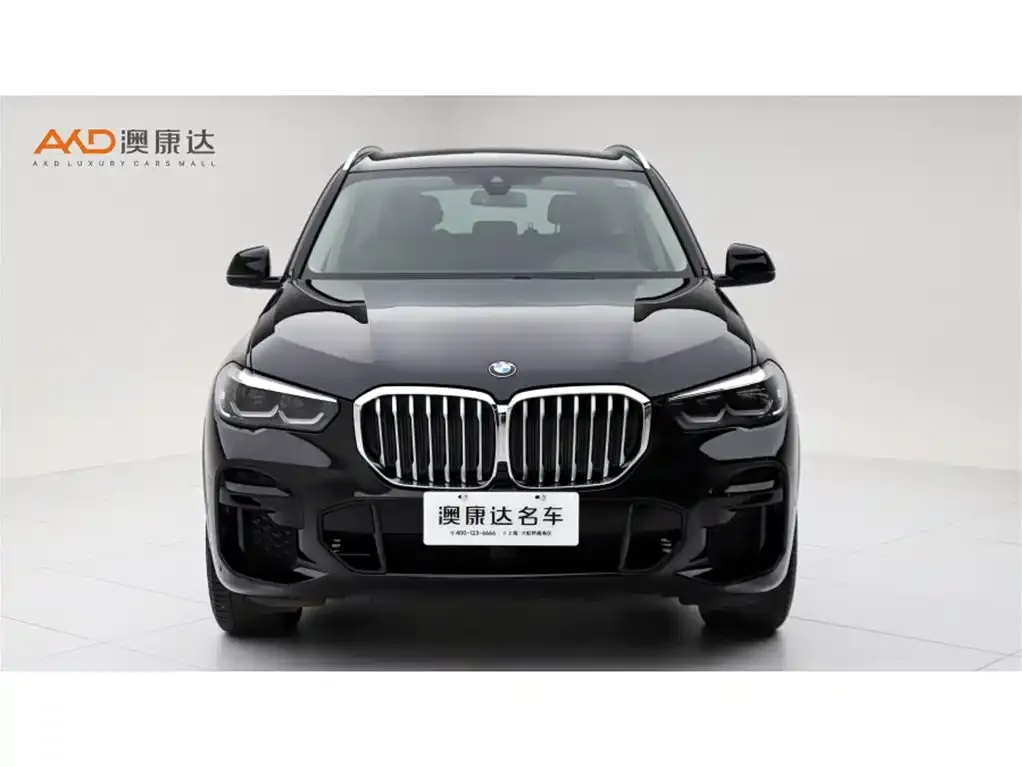 BMW X5 (Import) — фото 2