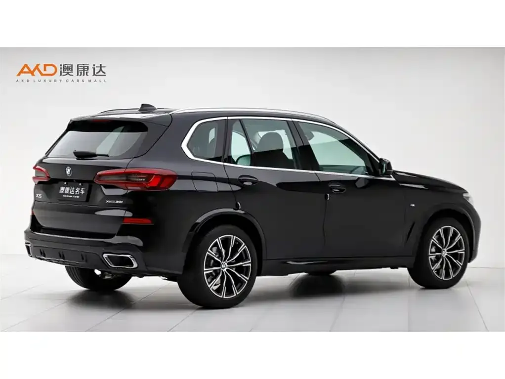 BMW X5 (Import) — фото 3