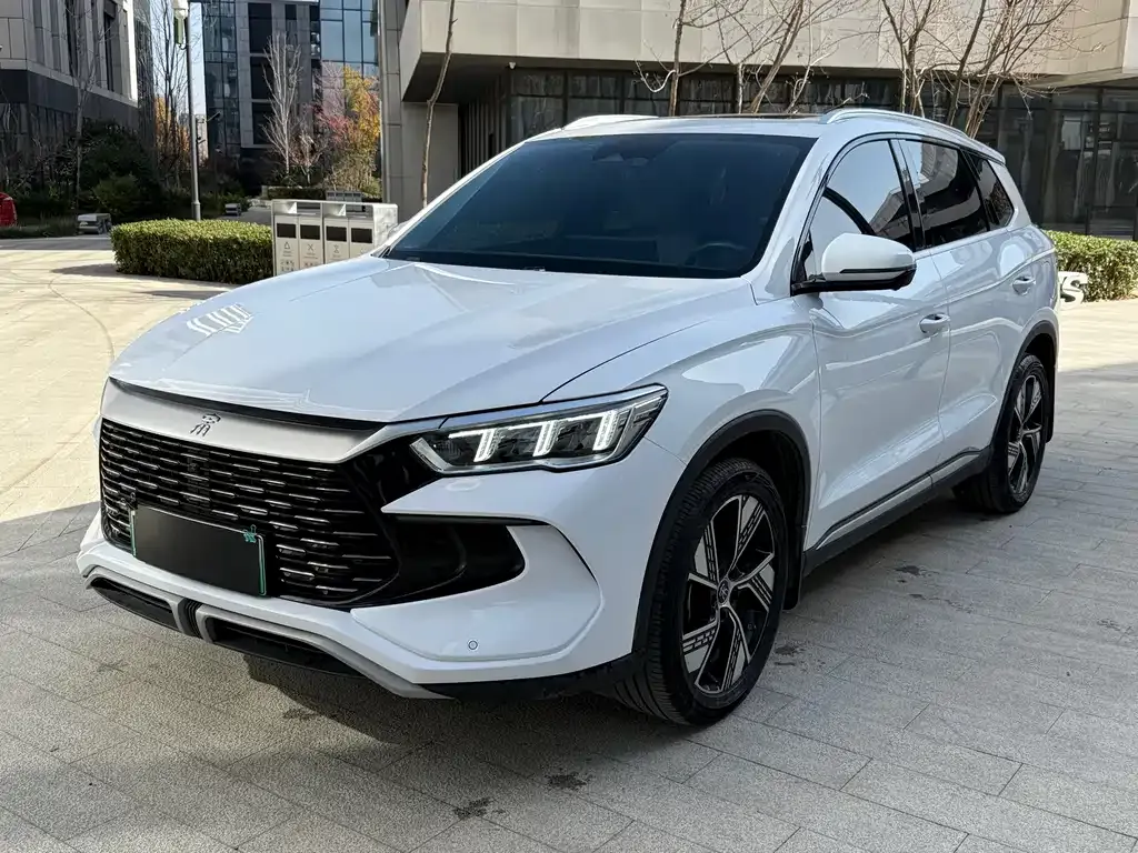BYD Pro New Energy — фото 1