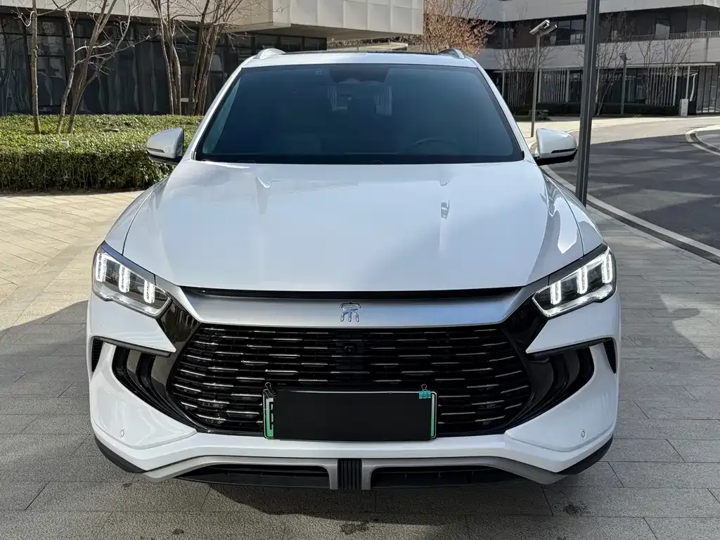BYD Pro New Energy — фото 2