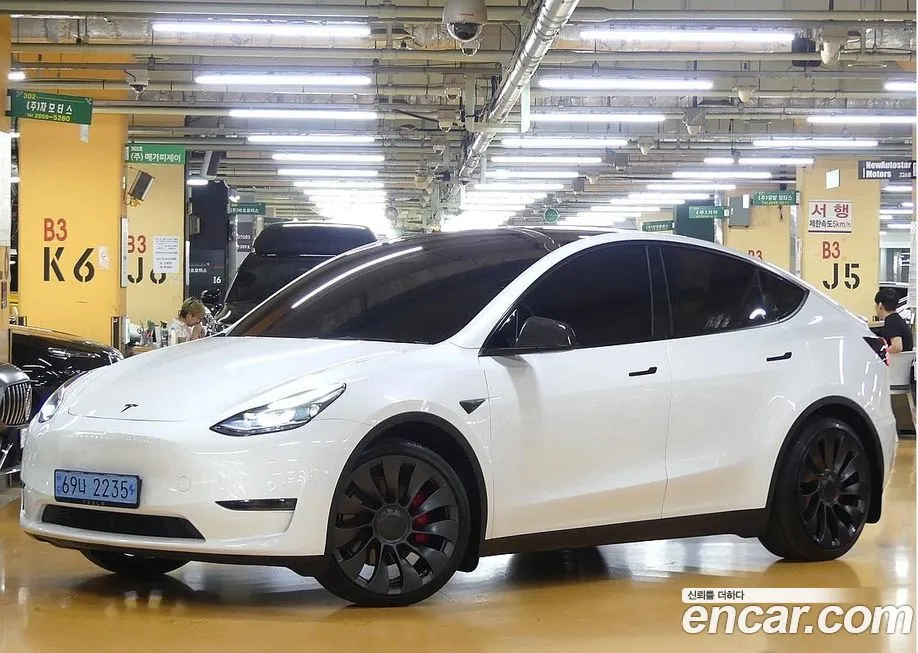 Tesla Model Y — фото 1