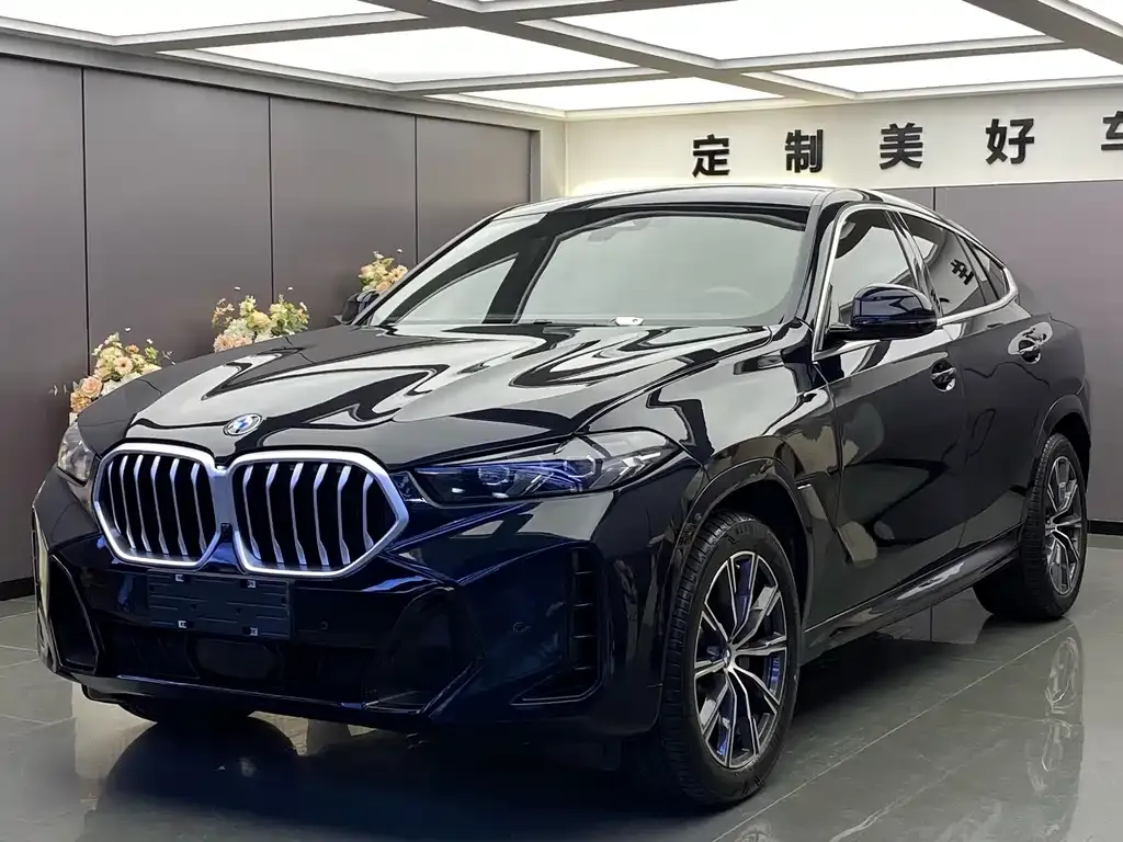 BMW X6 — фото 1