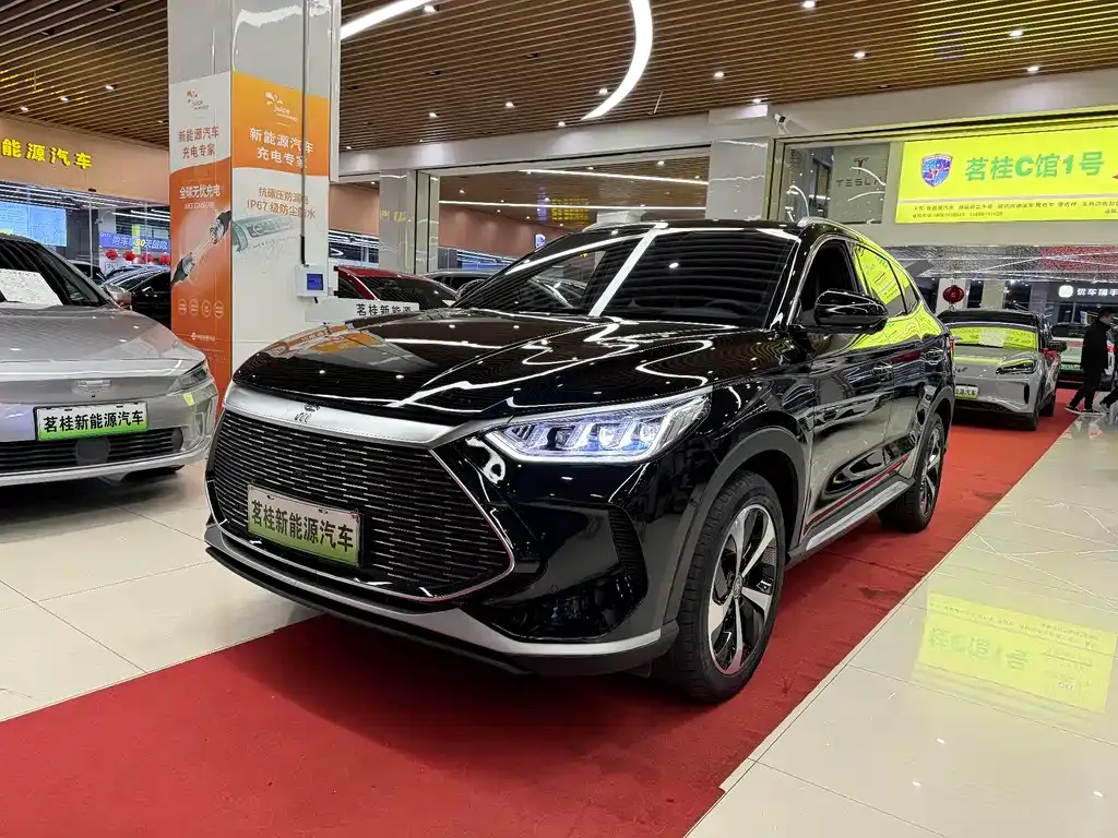 BYD PLUS New Energy — фото 1