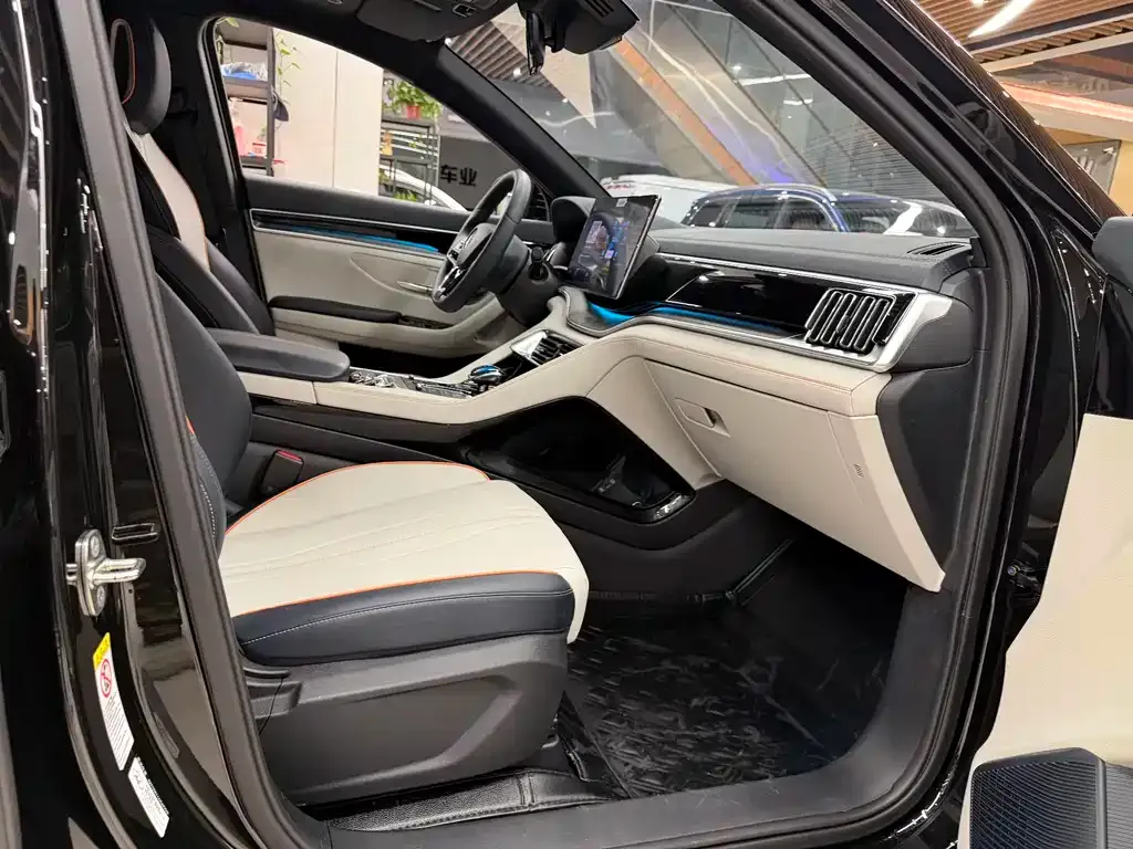 BYD PLUS New Energy — фото 10