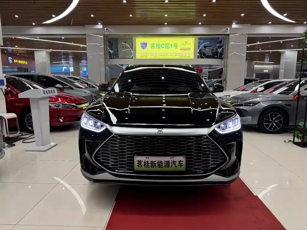 BYD PLUS New Energy — фото 2