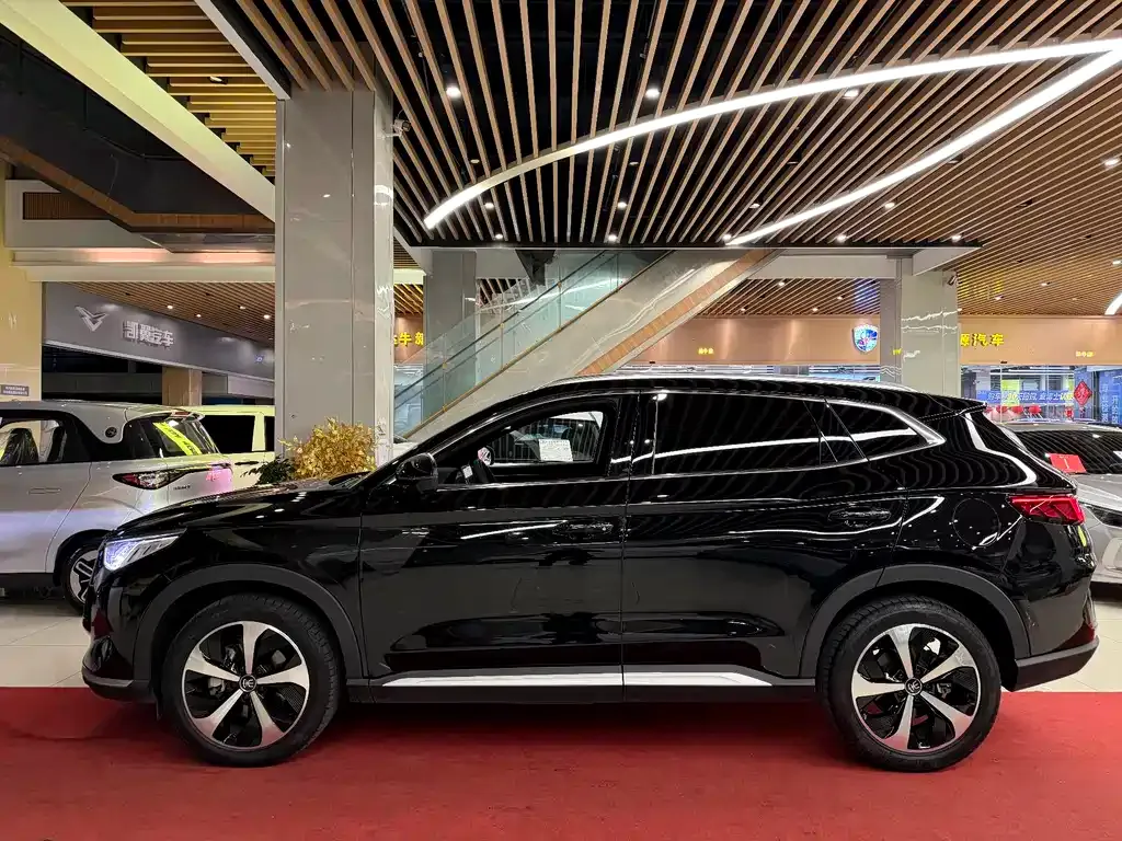 BYD PLUS New Energy — фото 4