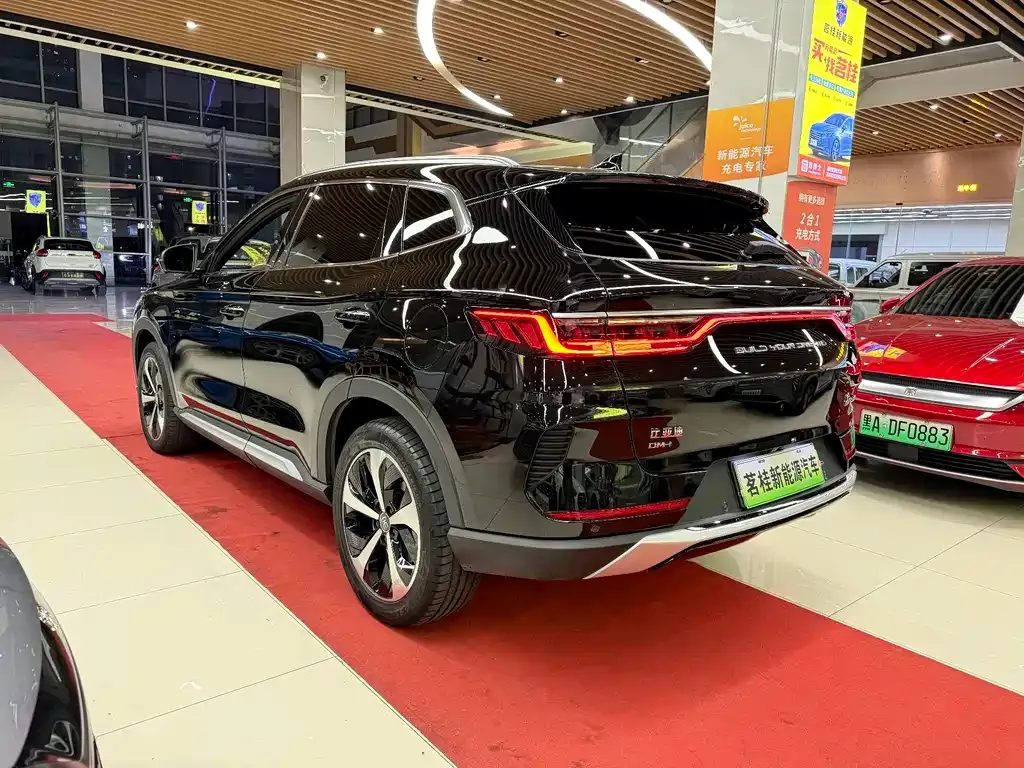 BYD PLUS New Energy — фото 6