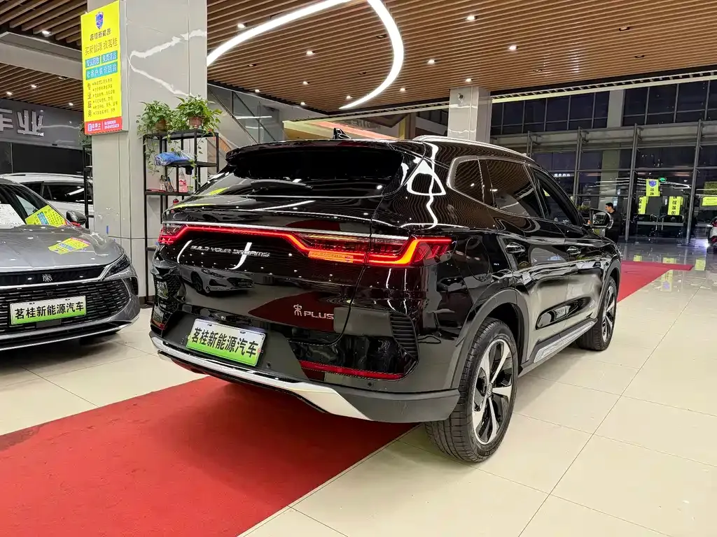 BYD PLUS New Energy — фото 7