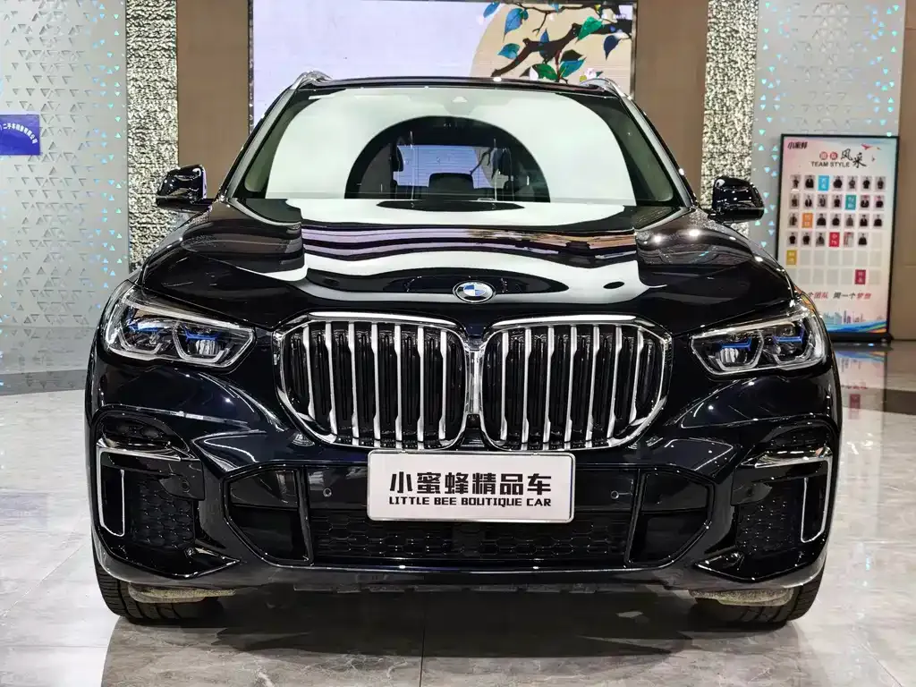 BMW X5 — фото 2