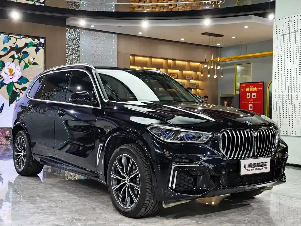 BMW X5 — фото 3