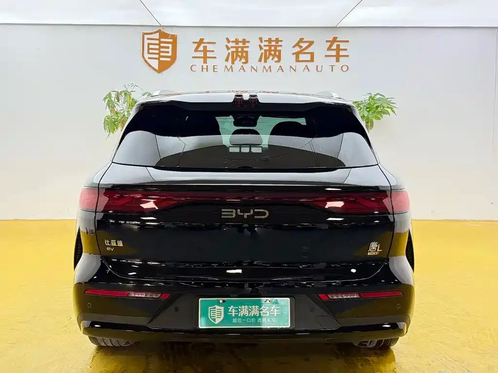 BYD Tang L — фото 10
