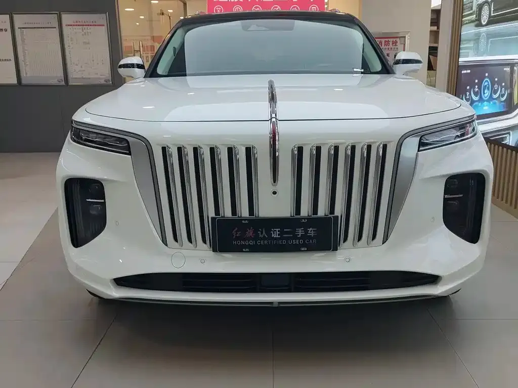 Hongqi E-HS9 — фото 1